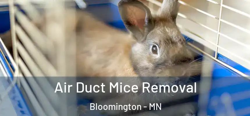 Air Duct Mice Removal Bloomington - MN