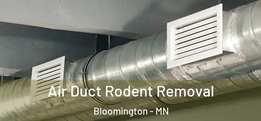 Air Duct Rodent Removal Bloomington - MN