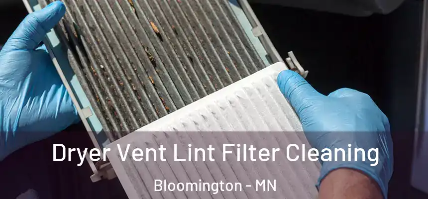 Dryer Vent Lint Filter Cleaning Bloomington - MN