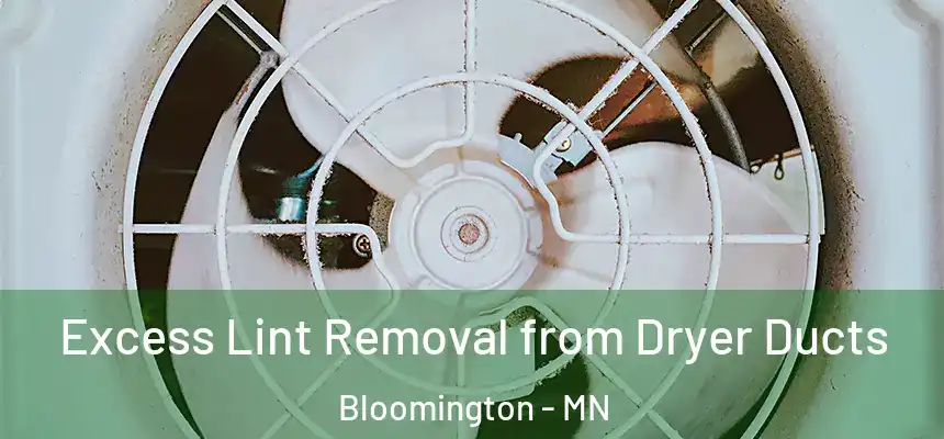 Excess Lint Removal from Dryer Ducts Bloomington - MN