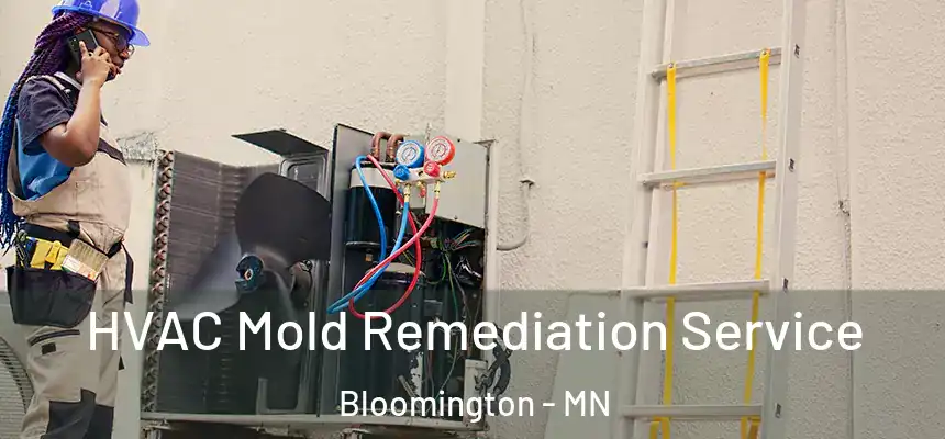 HVAC Mold Remediation Service Bloomington - MN
