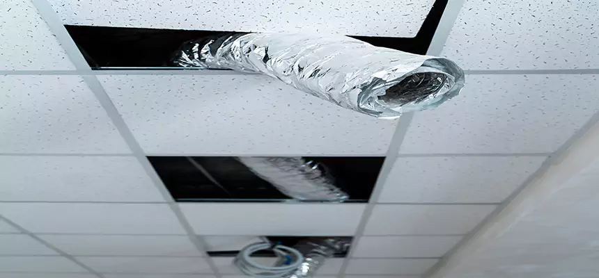 Our Air Duct Pet Hair Removal Services in Bloomington, MN