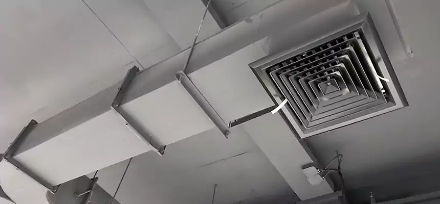 Restorative Allergy Relief Vent Cleaning – Coil, Blower & Housing Detail in Bloomington