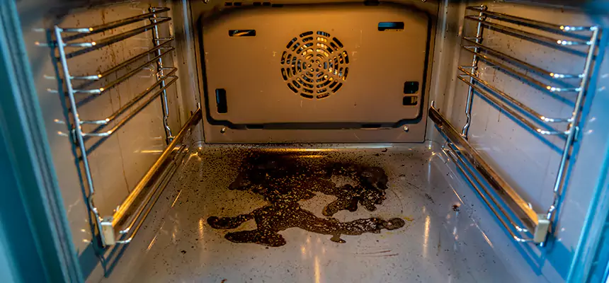 Our Dryer Vent Mold Cleaning Services in Bloomington, MN