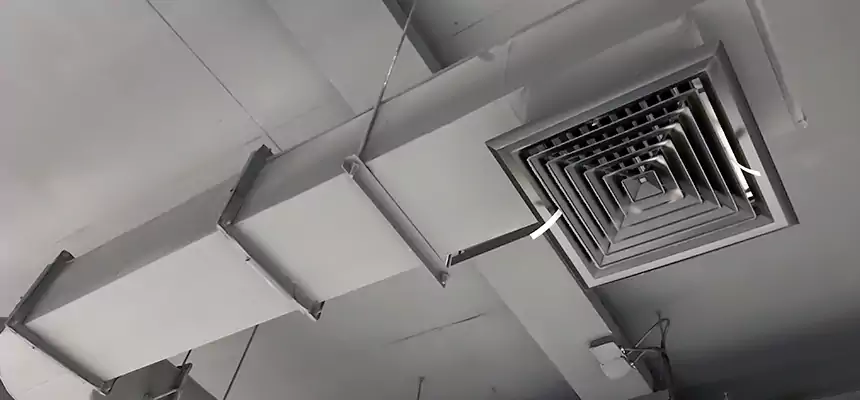 Our Pest Removal From Ducts Services in Bloomington, MN