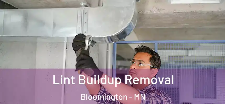 Lint Buildup Removal Bloomington - MN