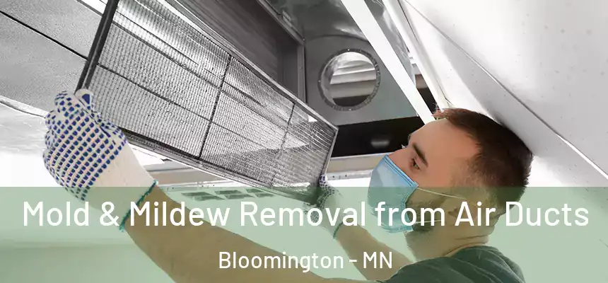 Mold & Mildew Removal from Air Ducts Bloomington - MN