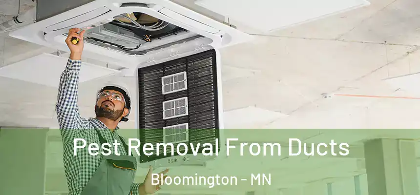 Pest Removal From Ducts Bloomington - MN