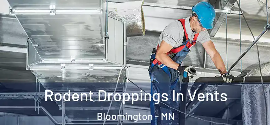 Rodent Droppings In Vents Bloomington - MN