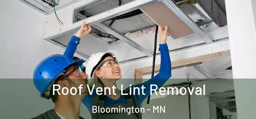 Roof Vent Lint Removal Bloomington - MN