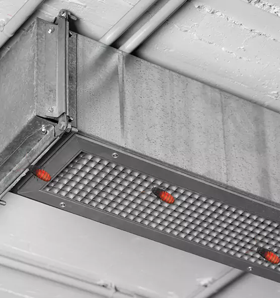 About Air Duct Cockroach Removal in Bloomington, MN