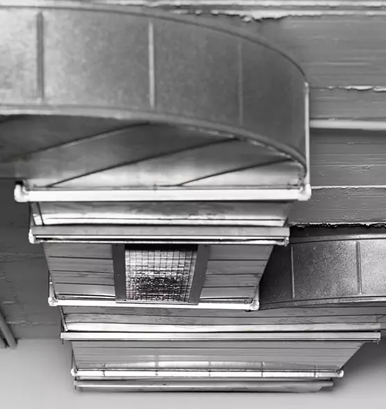 Professional Air Duct Pest Removal in Bloomington, MN