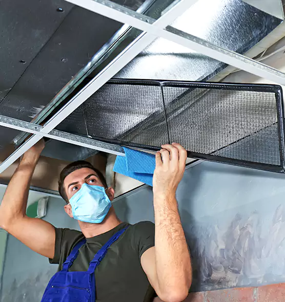 Professional Air Duct Pollen Cleaning in Bloomington, MN