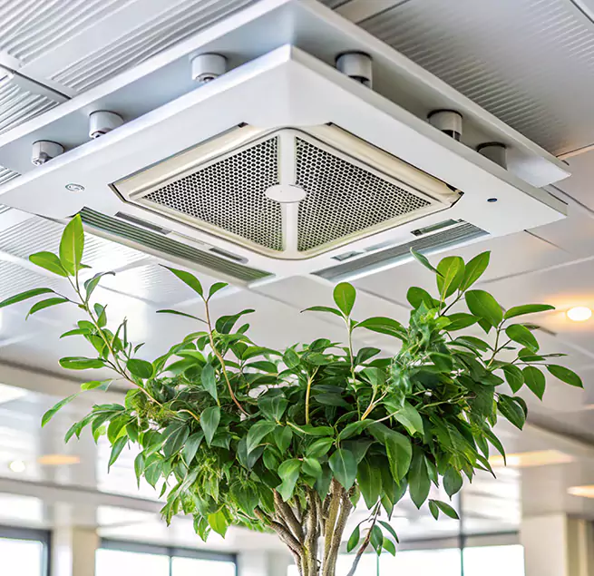 Why Homeowners & Businesses Trust Us in Bloomington, MN?