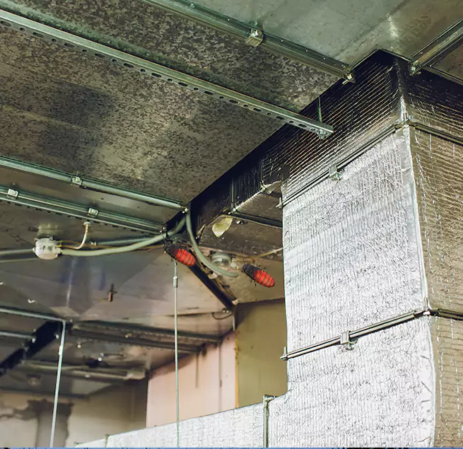 Why Homeowners & Businesses Trust Us Bloomington, MN?