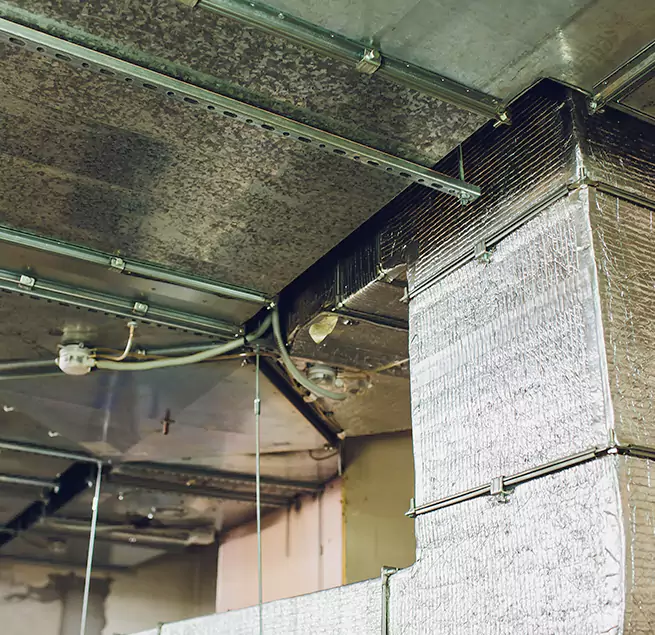 Why Homeowners & Businesses Trust Us in Bloomington, MN?